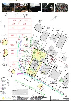 Feature Plans